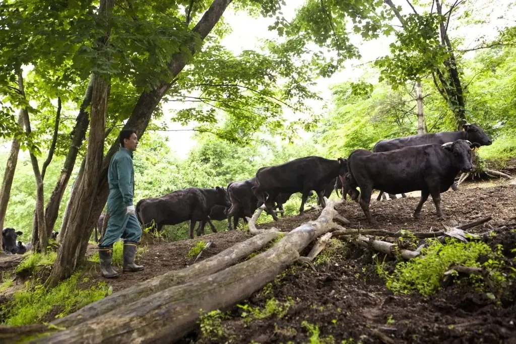 【高島屋】収穫体験・肉・海鮮・スイーツ・絶景など、五感で北海道を味わい尽くす体験が「福袋」に！北海道駐在バイヤーがご案内する『バイヤー厳選！食・体験・絶景を巡る、夏の北海道プレミアムツアー』福袋 画像 4