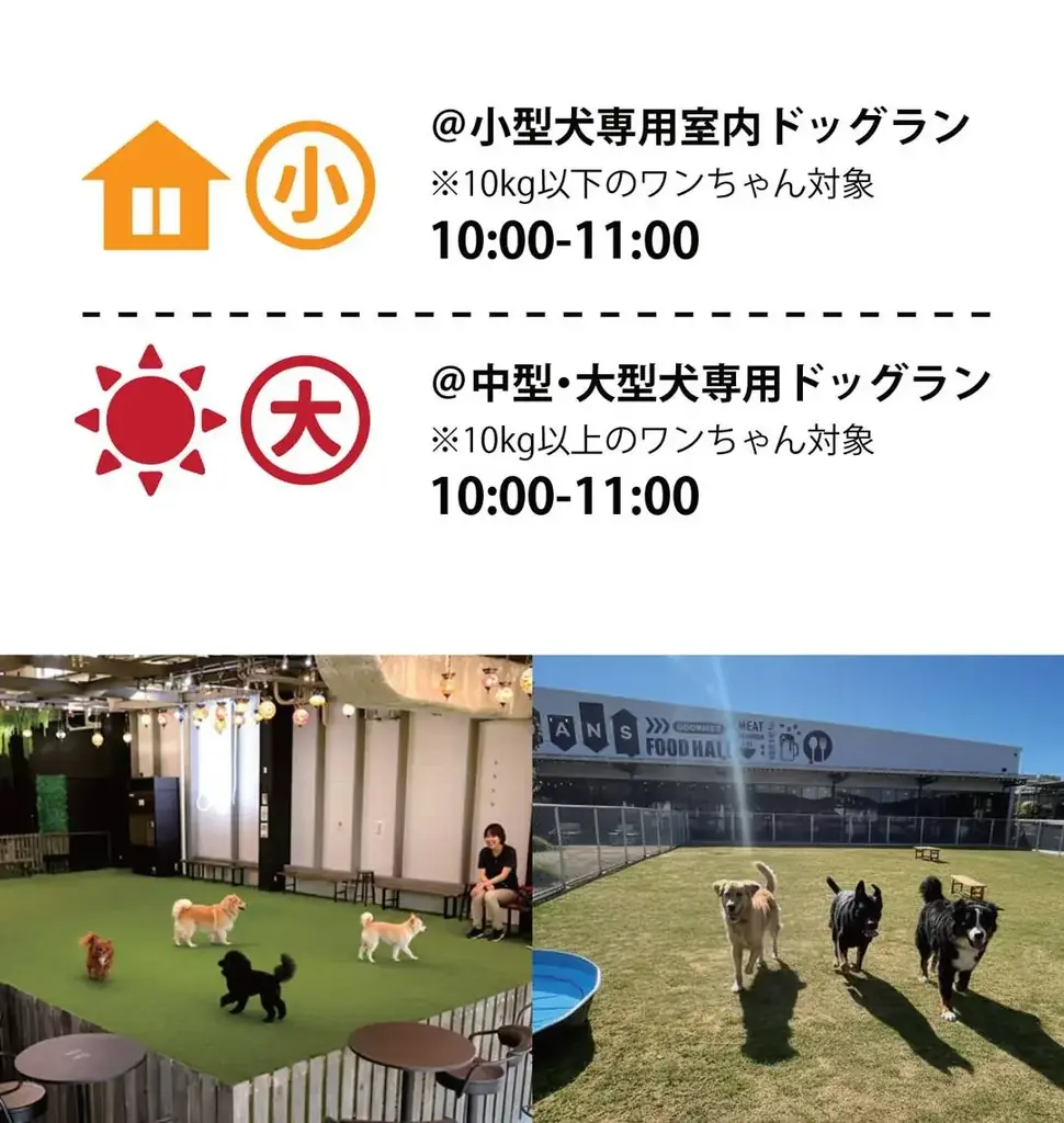 累計参加犬種30種以上、犬種別で楽しむ「わんちゃんオフ会」を定期開催【大阪・岸和田／WHATAWON】 画像 2