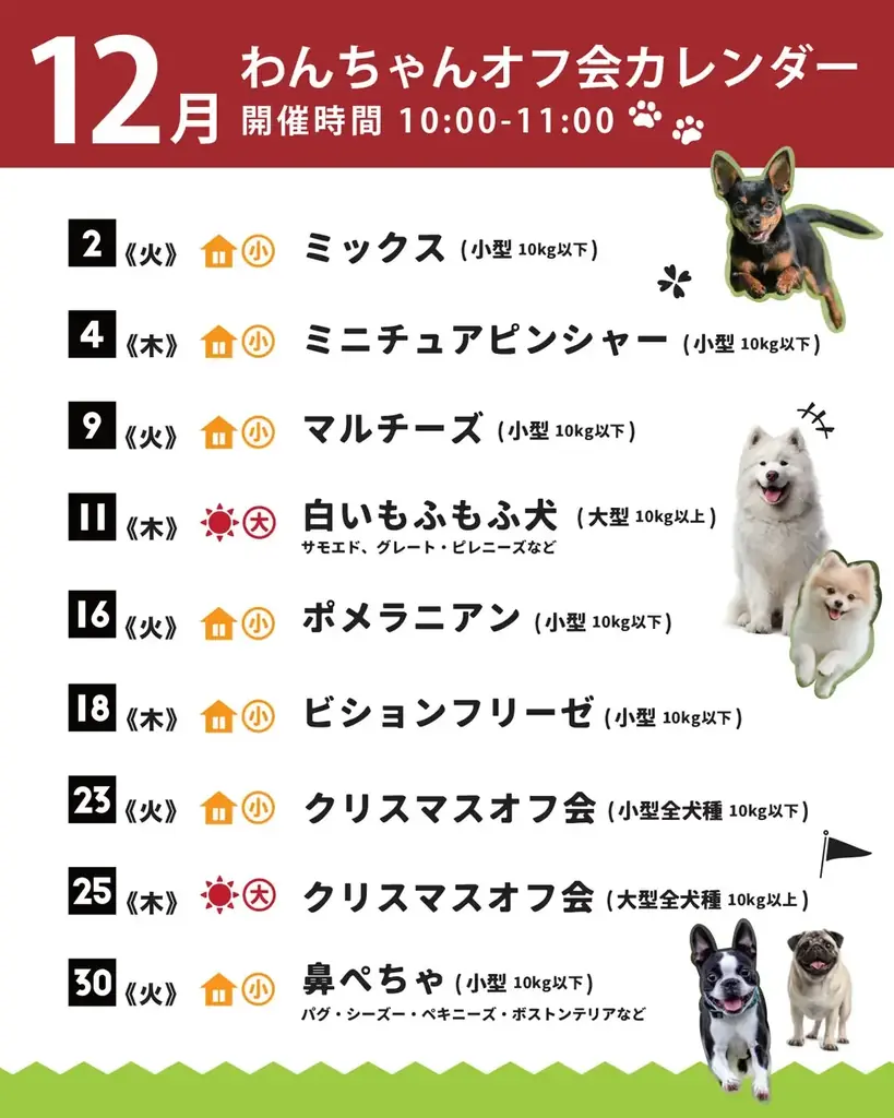 累計参加犬種30種以上、犬種別で楽しむ「わんちゃんオフ会」を定期開催【大阪・岸和田／WHATAWON】 画像 7