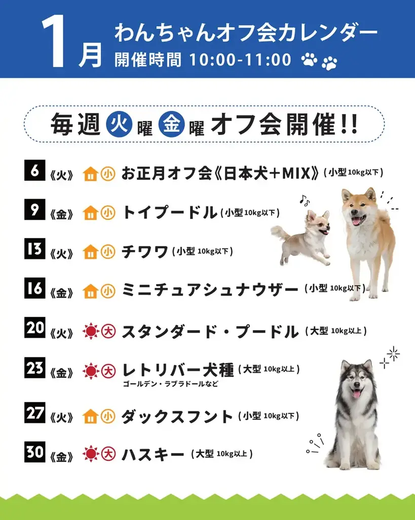 累計参加犬種30種以上、犬種別で楽しむ「わんちゃんオフ会」を定期開催【大阪・岸和田／WHATAWON】 画像 8