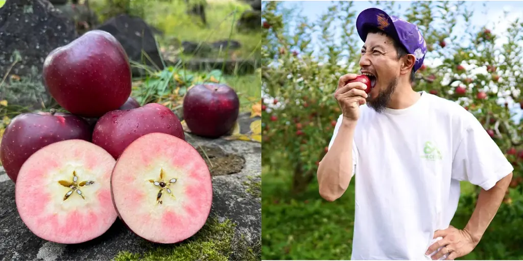 【業界初】赤果肉の林檎キルトピンクを使用した「キルトピンクシュトーレンを発売」春夏秋冬果実菓子 第一弾 画像 2