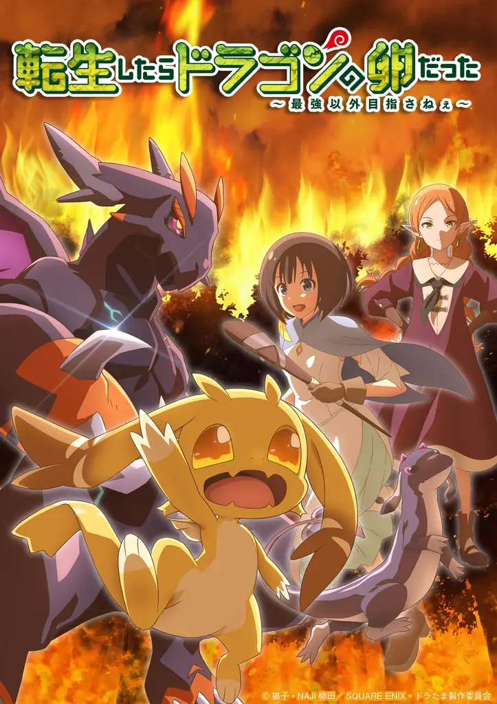 TVアニメ「転生したらドラゴンの卵だった」■メインPV＆キービジュアル第2弾（マリエル・黒蜥蜴 追加ver）公開！■追加キャスト解禁＆コメント到着！（釘宮理恵・楠木ともり)■TV放送情報解禁！他 画像 14