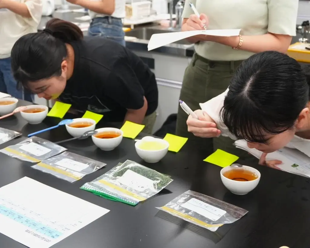 【大学生が挑む「緑茶離れ」】同志社女子大学×森半が共同開発！「スイーツ感覚」で飲める新発想のフレーバーティー2種がお茶の常識を覆す 画像 4