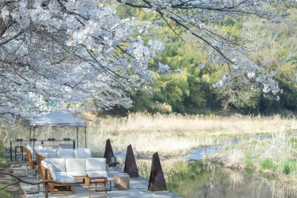 桜の木の下で4種のアウトドアサウナと清流を楽しむサウナイベント。COMORIVERで「お花見サウナフェス2026」を開催します 画像 2