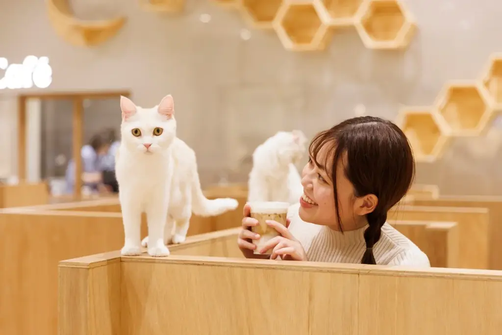 仔猫たちと過ごす“あたたかな冬”。12月23日『Cat Café MOFF』川口前川にオープン！ 画像 11