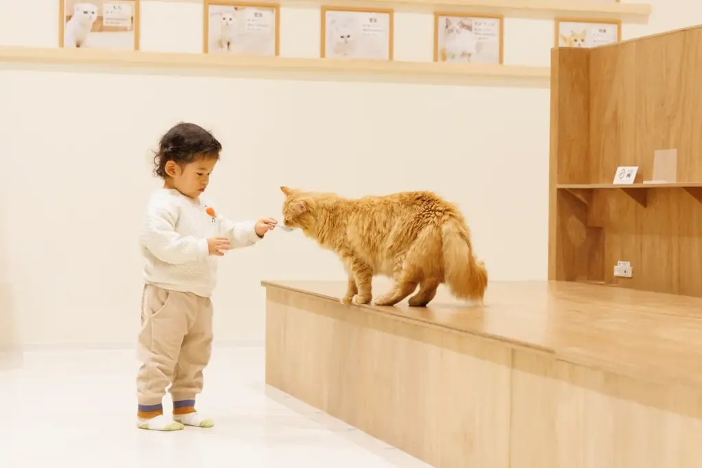 仔猫たちと過ごす“あたたかな冬”。12月23日『Cat Café MOFF』川口前川にオープン！ 画像 13