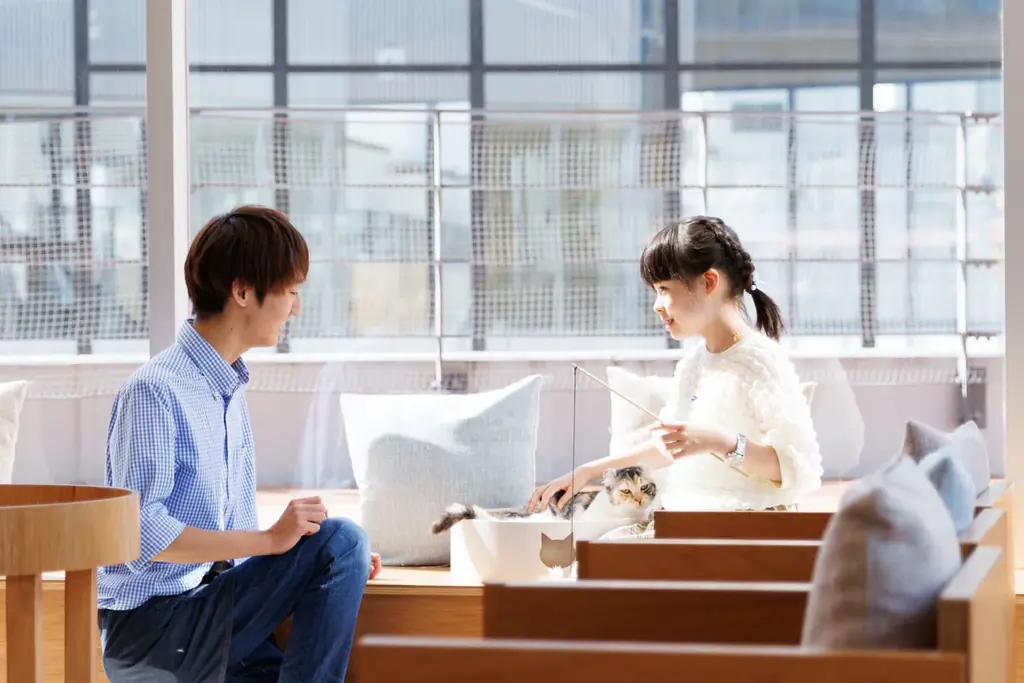 仔猫たちと過ごす“あたたかな冬”。12月23日『Cat Café MOFF』川口前川にオープン！ 画像 14