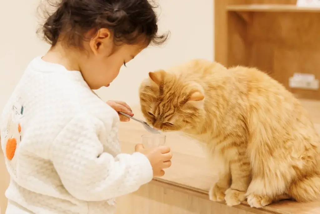 仔猫たちと過ごす“あたたかな冬”。12月23日『Cat Café MOFF』川口前川にオープン！ 画像 15