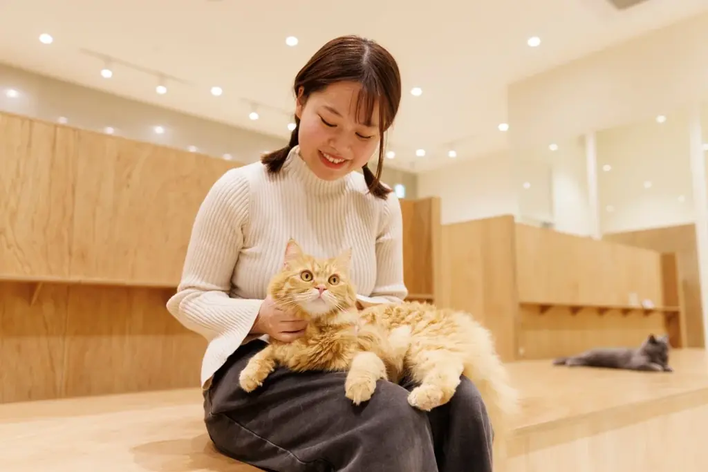 仔猫たちと過ごす“あたたかな冬”。12月23日『Cat Café MOFF』川口前川にオープン！ 画像 17
