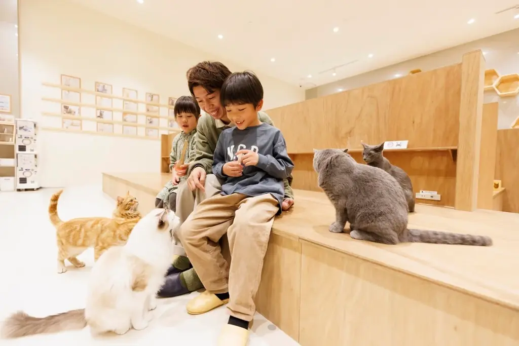 仔猫たちと過ごす“あたたかな冬”。12月23日『Cat Café MOFF』川口前川にオープン！ 画像 2