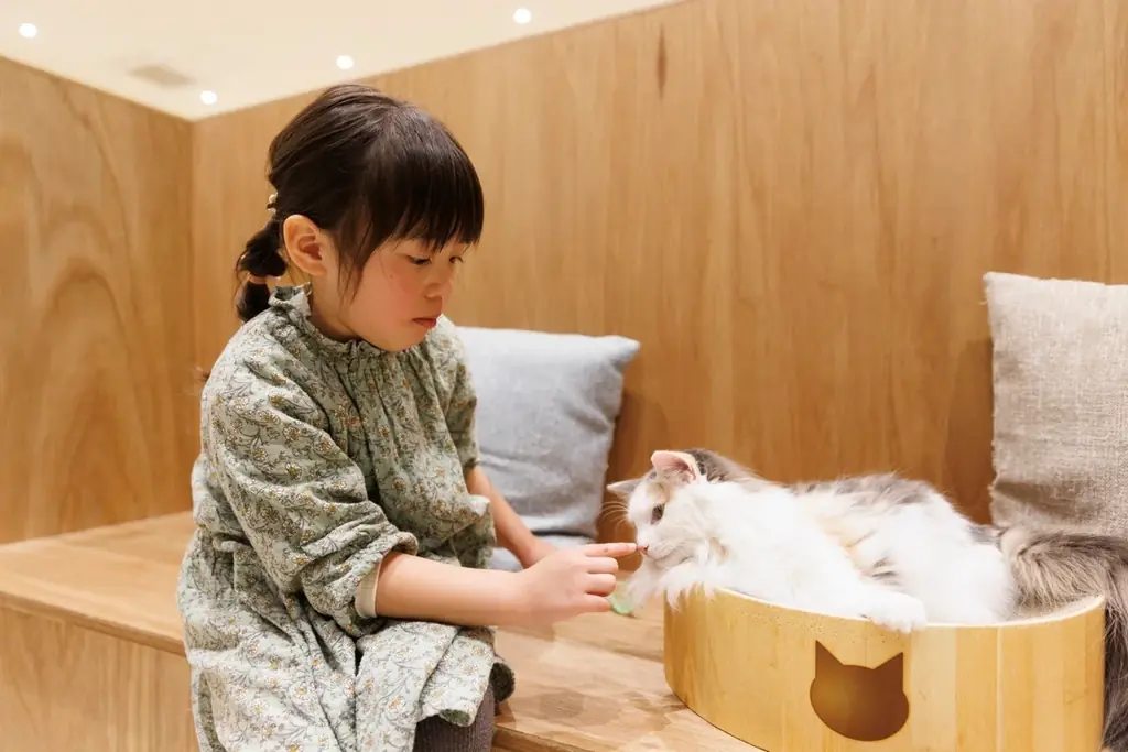仔猫たちと過ごす“あたたかな冬”。12月23日『Cat Café MOFF』川口前川にオープン！ 画像 3