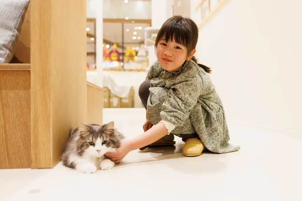 仔猫たちと過ごす“あたたかな冬”。12月23日『Cat Café MOFF』川口前川にオープン！ 画像 4