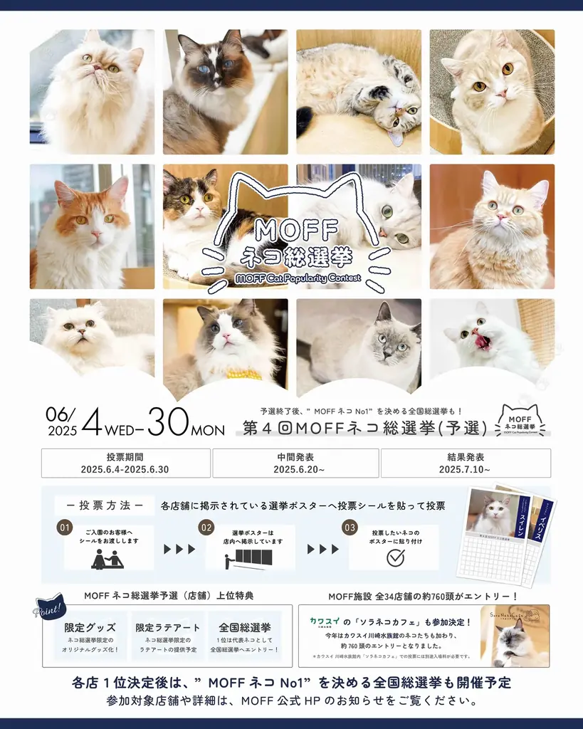 仔猫たちと過ごす“あたたかな冬”。12月23日『Cat Café MOFF』川口前川にオープン！ 画像 7