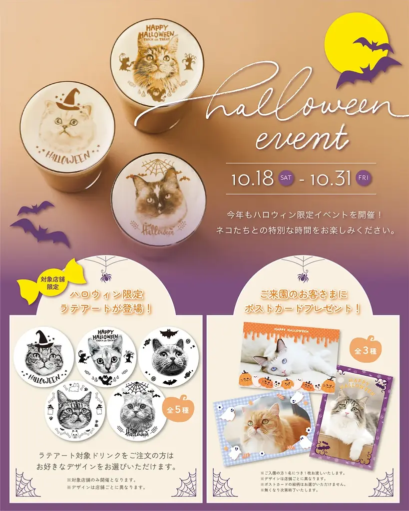 仔猫たちと過ごす“あたたかな冬”。12月23日『Cat Café MOFF』川口前川にオープン！ 画像 8