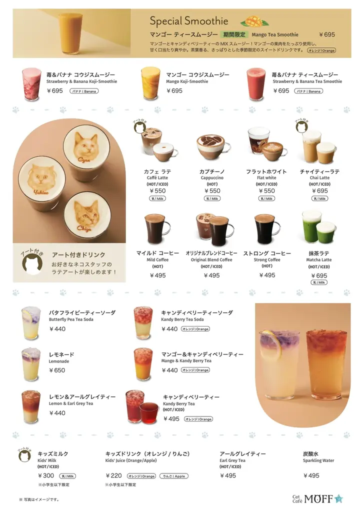 仔猫たちと過ごす“あたたかな冬”。12月23日『Cat Café MOFF』川口前川にオープン！ 画像 9