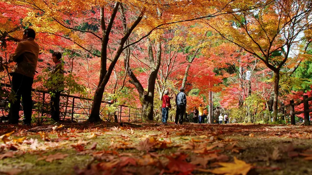 鏡野観光局×極楽湯・RAKU SPA「かがみのグルメフェア」を12月16日(火)より開催！ 画像 5