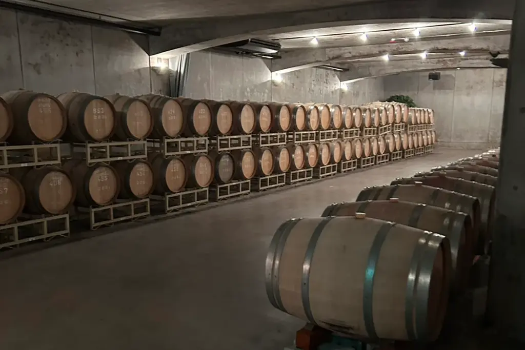 【富士桜高原麦酒】山梨の名門ワイナリー【サドヤ】とのコラボビール「葡麦 HOBAKU」を新発売！サドヤ農場産 カベルネ・ソーヴィニョンを使用！ 画像 4