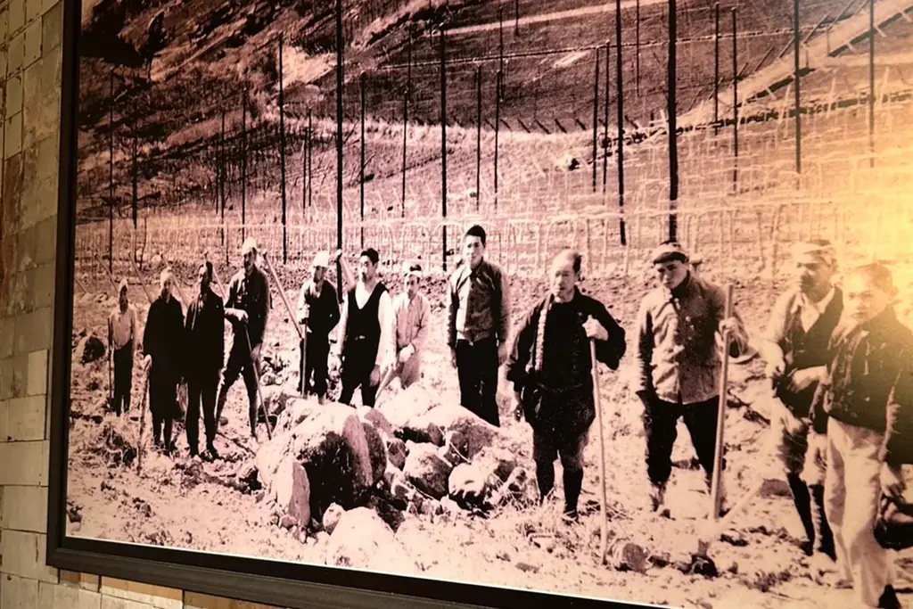 【富士桜高原麦酒】山梨の名門ワイナリー【サドヤ】とのコラボビール「葡麦 HOBAKU」を新発売！サドヤ農場産 カベルネ・ソーヴィニョンを使用！ 画像 5