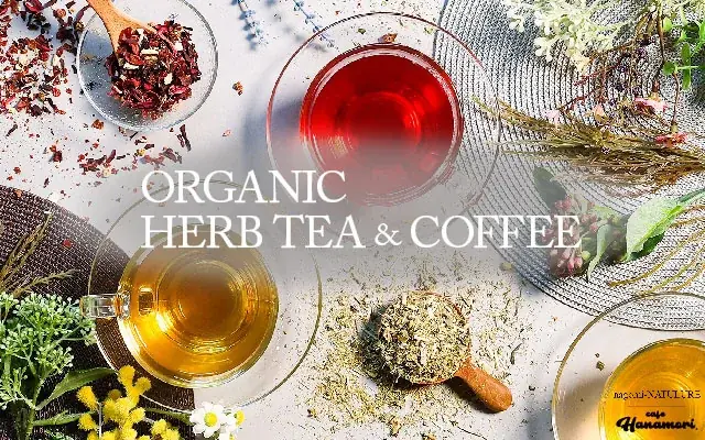 【岡山初出店!】cafe Hanamoriアルネ津山店 12/24(水)オープン! 画像 2