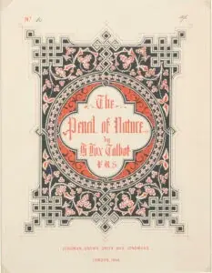 【横浜市民ギャラリーあざみ野】「あざみ野フォト・アニュアル2026」開館20周年を記念した横浜市所蔵カメラ・写真コレクションの展覧会を開催 画像 8