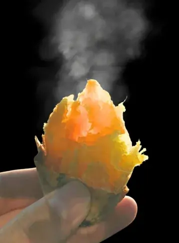 寒い真冬にホットで甘い焼き芋三昧！千葉で開催するさつまいもの祭典「冬のさつまいも博2026」いよいよチケット販売開始！ 画像 9