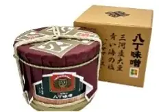 岡崎市の冬の風物詩「おとがわ寒中水泳」開催！ 画像 6