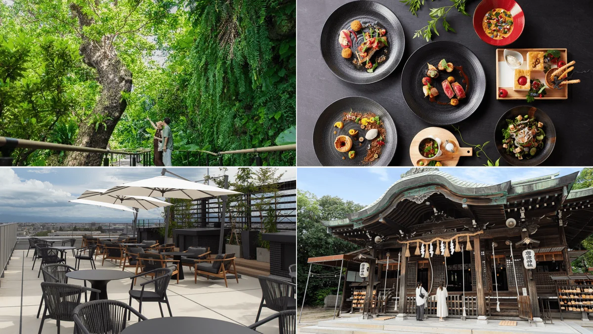 アコー リスタートステイ