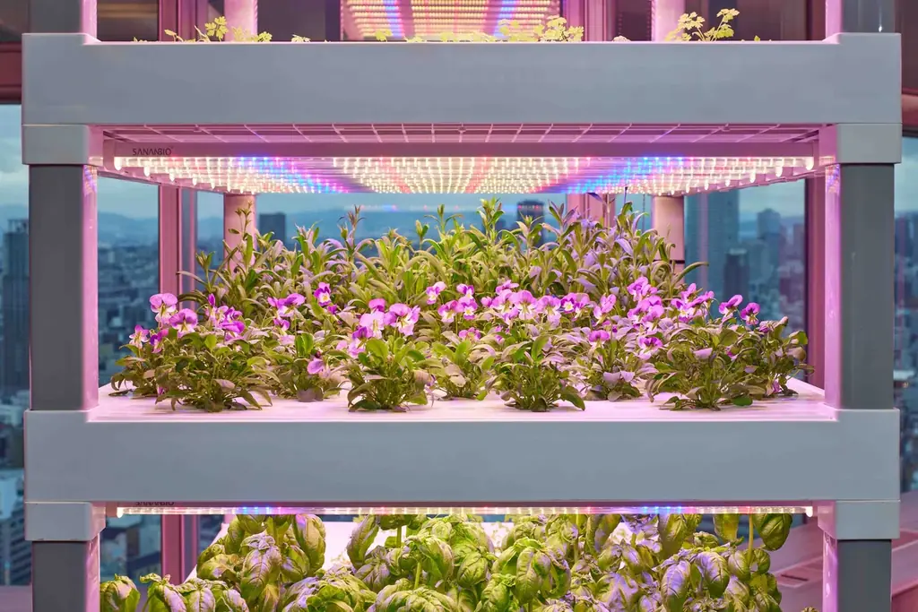 心と身体を整える新年へ　アコーが叶える“リスタートステイ” 画像 2