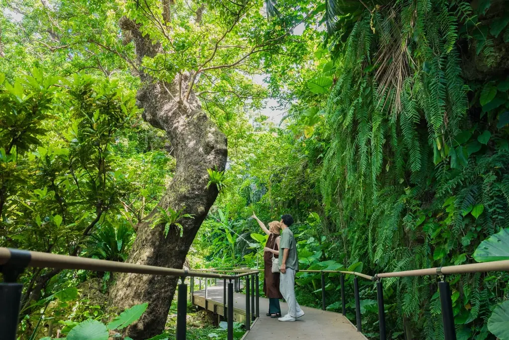 心と身体を整える新年へ　アコーが叶える“リスタートステイ” 画像 5