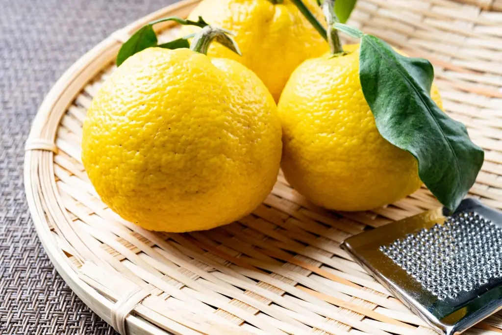 心と身体を整える新年へ　アコーが叶える“リスタートステイ” 画像 7