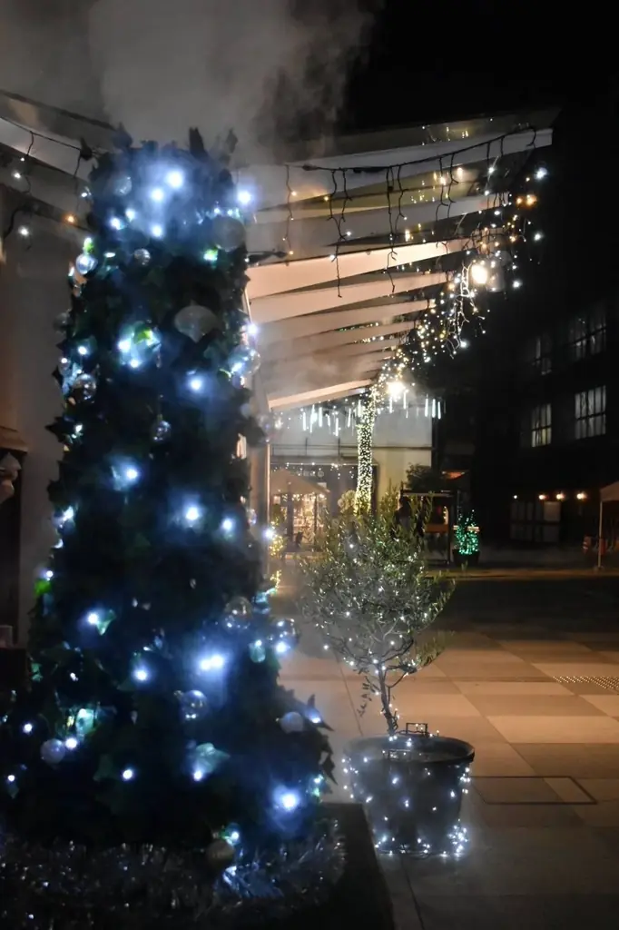 雲海、舞う。蔵、光る。川越の蔵が季節ごとに装いを変える雲海イルミネーション小江戸蔵里「Hikari Seasons」12/6開幕！ 画像 2