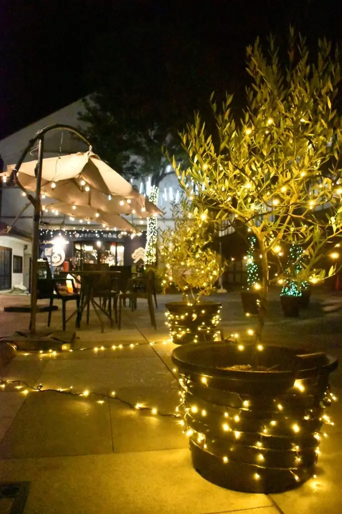 雲海、舞う。蔵、光る。川越の蔵が季節ごとに装いを変える雲海イルミネーション小江戸蔵里「Hikari Seasons」12/6開幕！ 画像 7