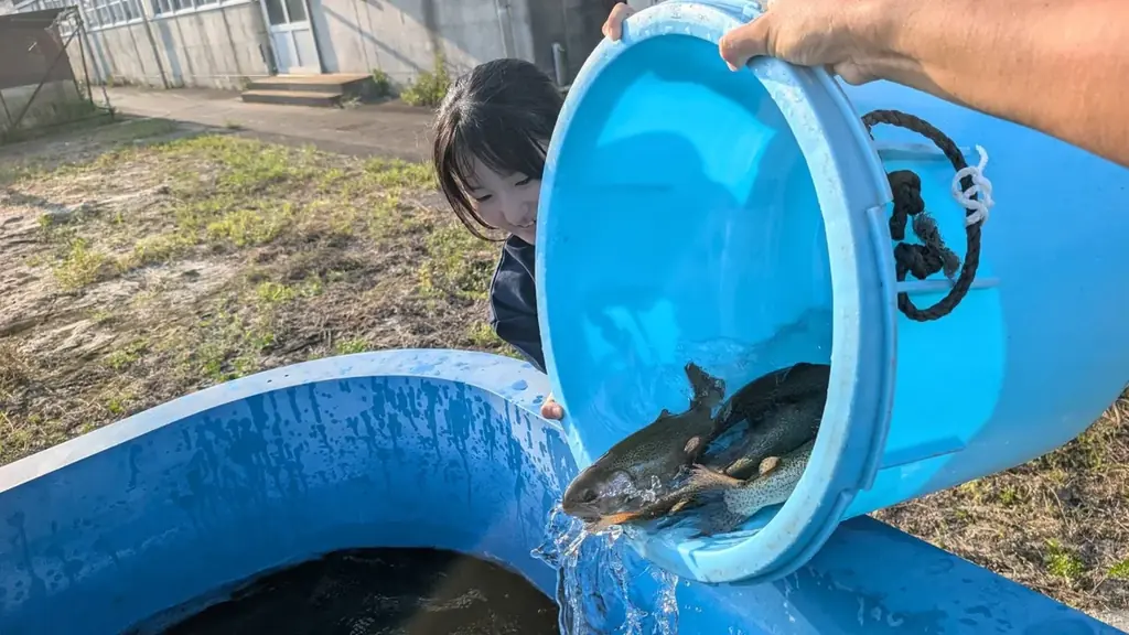 【特別育成】焼津水産高校の生徒が卵から育てたサーモンをお寿司にして地域の皆様にお届けします！淡水育ちでアニサキスの心配なし。こめ油を使ったエサで脂のり抜群＆クセの少ない味わいに！ 画像 8