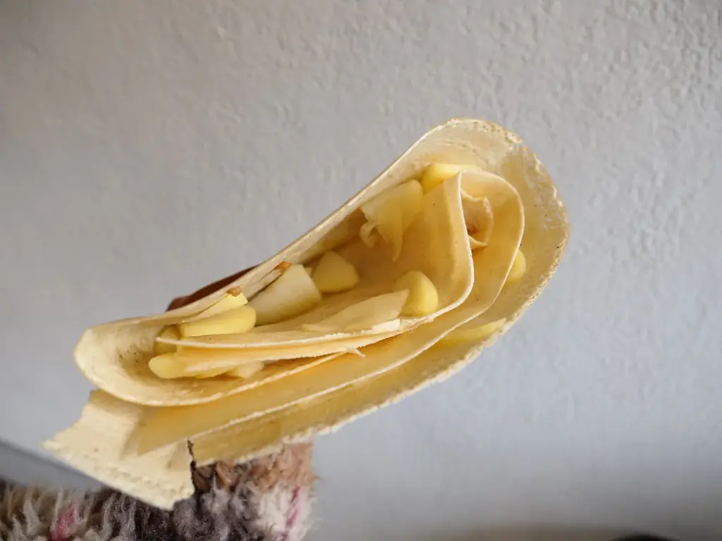 「クレープとエスプレッソと」が長野・松本に誕生！！パリパリの“黄金クレープ”と木の温もりに包まれる、ゆったり過ごせるくつろぎ空間がオープン 画像 3