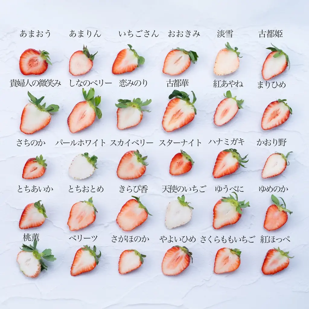 【いちご食べ比べ】旬のイチゴを堪能する「いちご12種食べ比べ」12月16日(火)より予約受付開始！ 画像 2