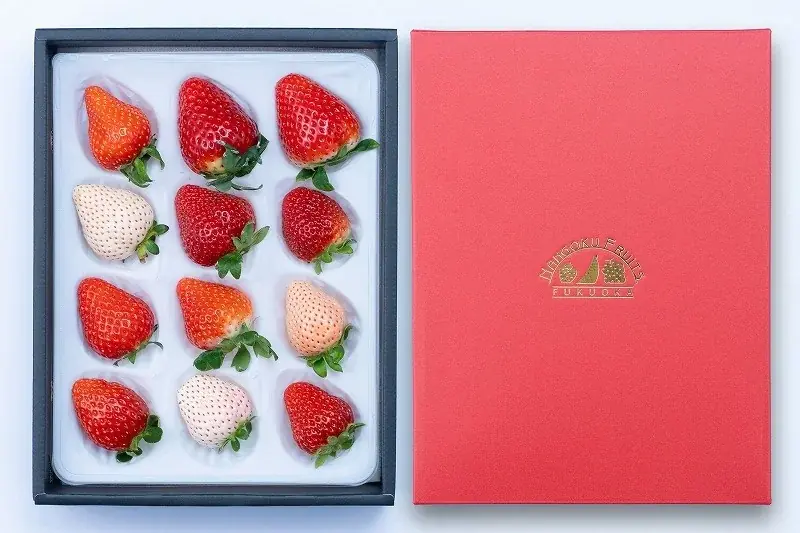 【いちご食べ比べ】旬のイチゴを堪能する「いちご12種食べ比べ」12月16日(火)より予約受付開始！ 画像 3