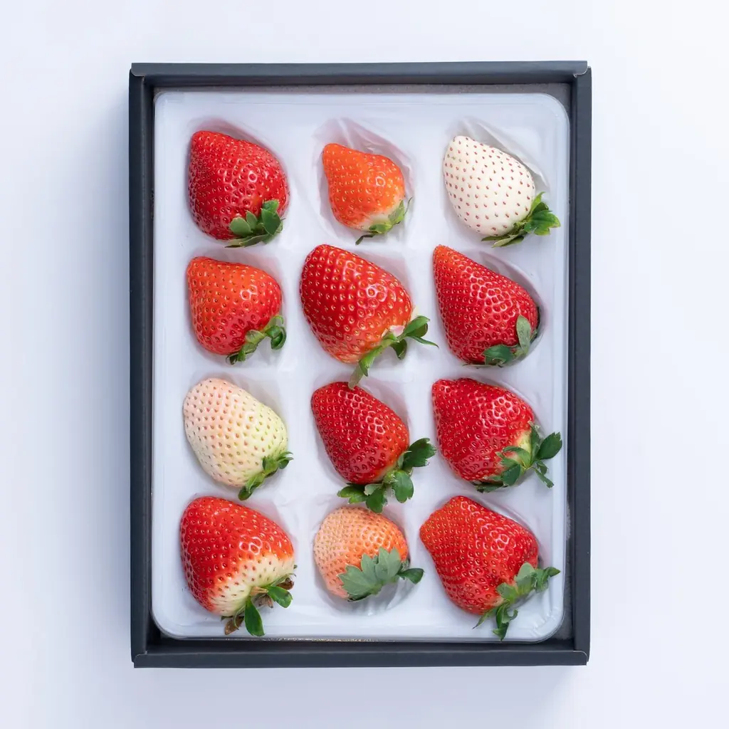 【いちご食べ比べ】旬のイチゴを堪能する「いちご12種食べ比べ」12月16日(火)より予約受付開始！ 画像 4