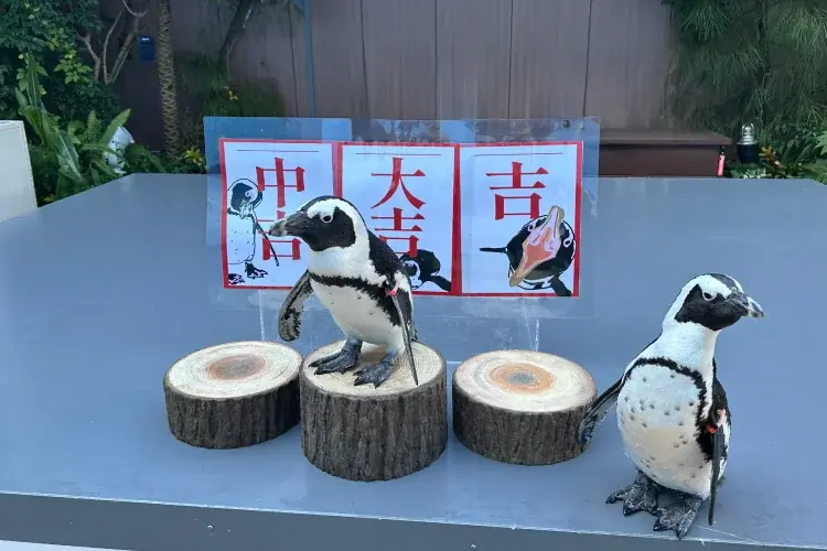 【マクセル アクアパーク品川】暖冬予報の中、都心にスノウドームのような幻想空間が登場！今冬、雪と氷につつまれた神秘的な海の世界への没入体験を。『SNOW AQUARIUM by NAKED』 画像 13