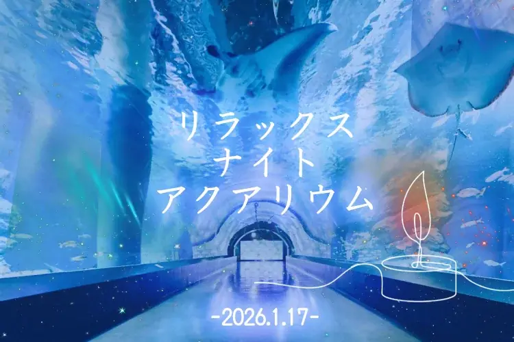 【マクセル アクアパーク品川】暖冬予報の中、都心にスノウドームのような幻想空間が登場！今冬、雪と氷につつまれた神秘的な海の世界への没入体験を。『SNOW AQUARIUM by NAKED』 画像 15
