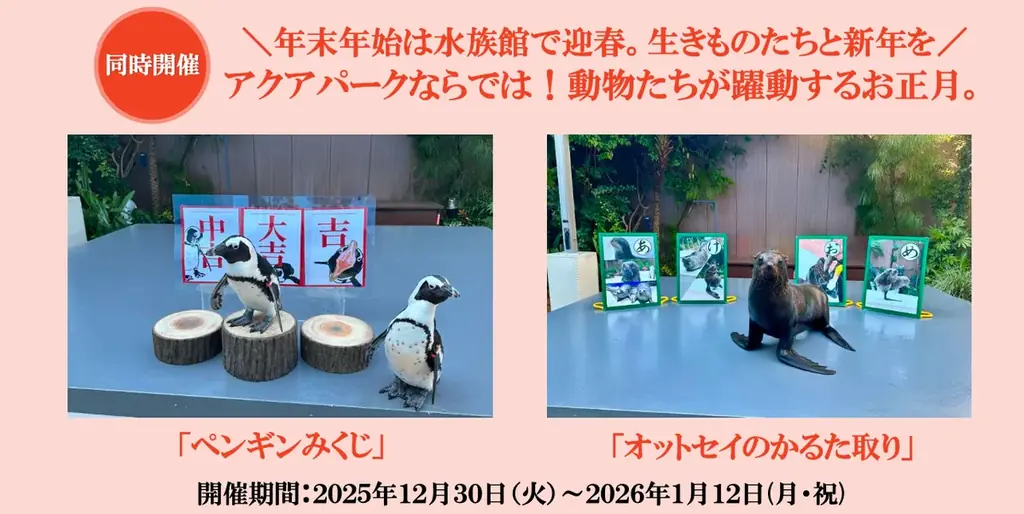 【マクセル アクアパーク品川】暖冬予報の中、都心にスノウドームのような幻想空間が登場！今冬、雪と氷につつまれた神秘的な海の世界への没入体験を。『SNOW AQUARIUM by NAKED』 画像 2