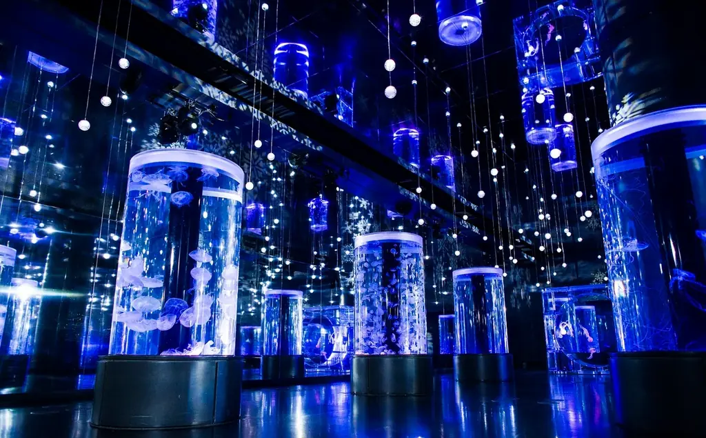 【マクセル アクアパーク品川】暖冬予報の中、都心にスノウドームのような幻想空間が登場！今冬、雪と氷につつまれた神秘的な海の世界への没入体験を。『SNOW AQUARIUM by NAKED』 画像 8