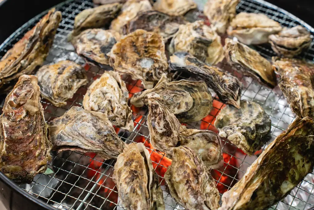 【兵庫県宍粟市】不漁でも妥協しない冬のごちそう体験！炭火焼き牡蠣＆カキフライ90分食べ放題＆グランピングで冬を満喫。〈ウッドデザインパーク与位〉 画像 2