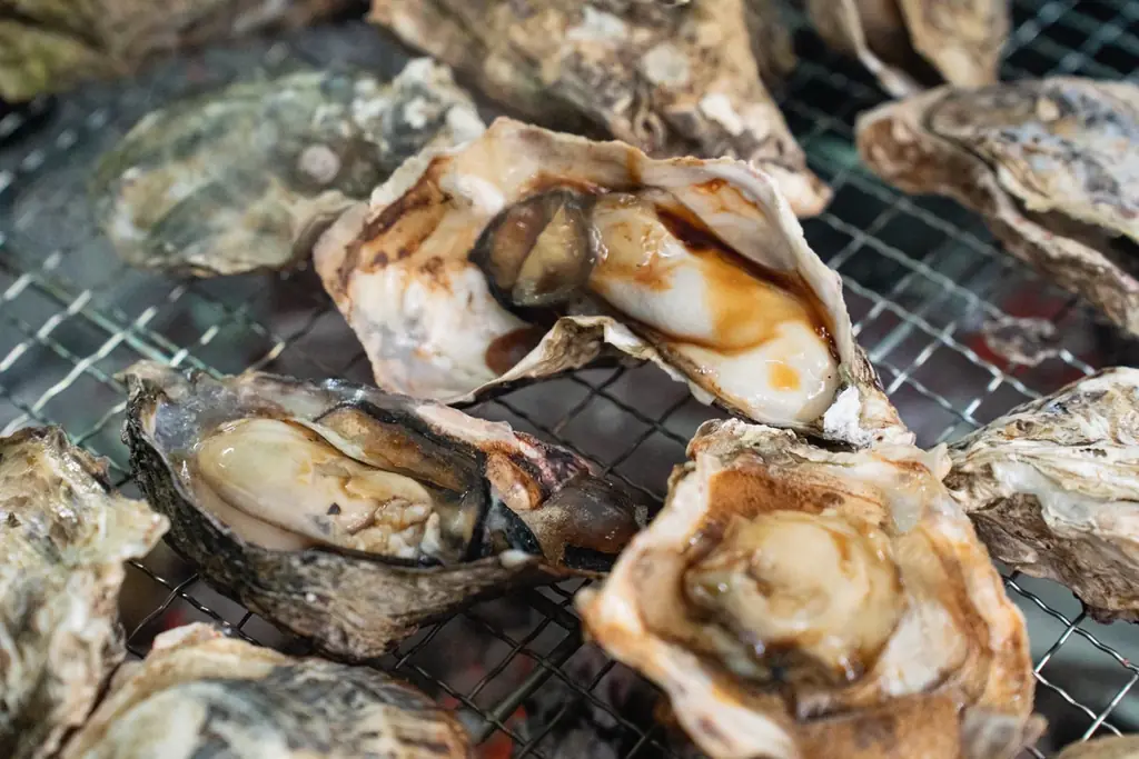 【兵庫県宍粟市】不漁でも妥協しない冬のごちそう体験！炭火焼き牡蠣＆カキフライ90分食べ放題＆グランピングで冬を満喫。〈ウッドデザインパーク与位〉 画像 3