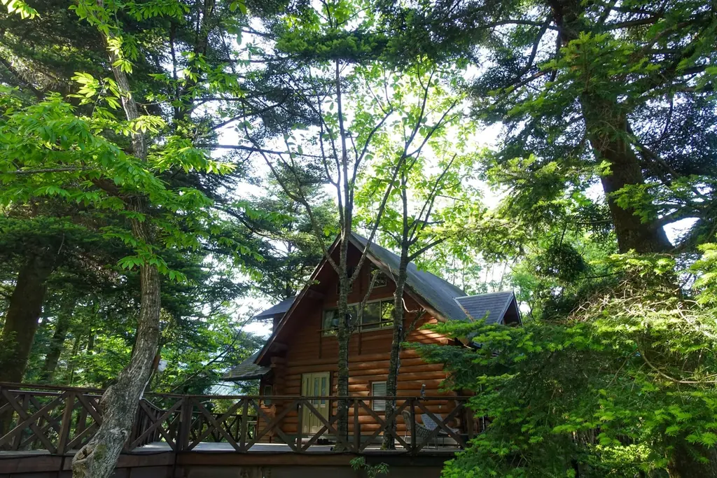 【兵庫県宍粟市】不漁でも妥協しない冬のごちそう体験！炭火焼き牡蠣＆カキフライ90分食べ放題＆グランピングで冬を満喫。〈ウッドデザインパーク与位〉 画像 4