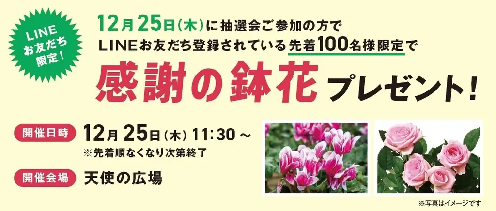 【西梅田/ドーチカ】DOTICA2025 Christmas Fair 開催中！ 画像 4