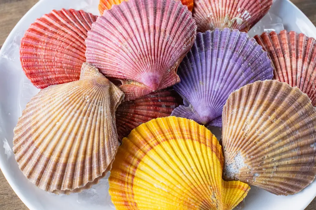 【滋賀県彦根市・ニューオープン】32日間だけの限定営業！？愛知県・岐阜県で大バズりした牡蠣小屋「旅する海鮮カキ小屋　カキダオレ」が彦根市初上陸！イオンタウン彦根に海を持ってくる。 画像 2