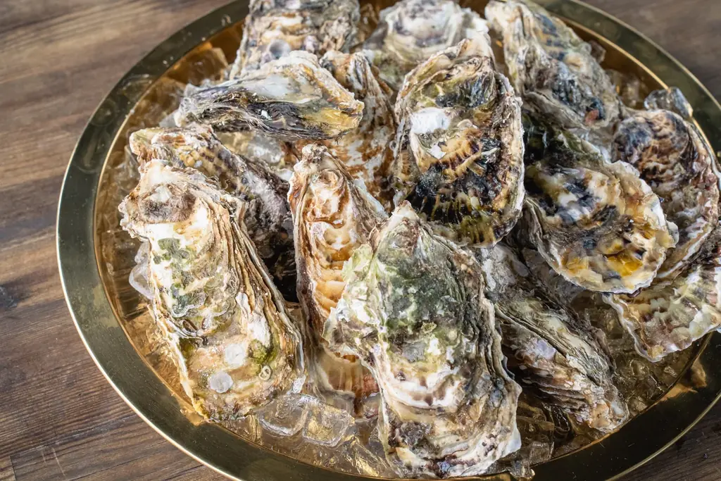 【滋賀県彦根市・ニューオープン】32日間だけの限定営業！？愛知県・岐阜県で大バズりした牡蠣小屋「旅する海鮮カキ小屋　カキダオレ」が彦根市初上陸！イオンタウン彦根に海を持ってくる。 画像 3