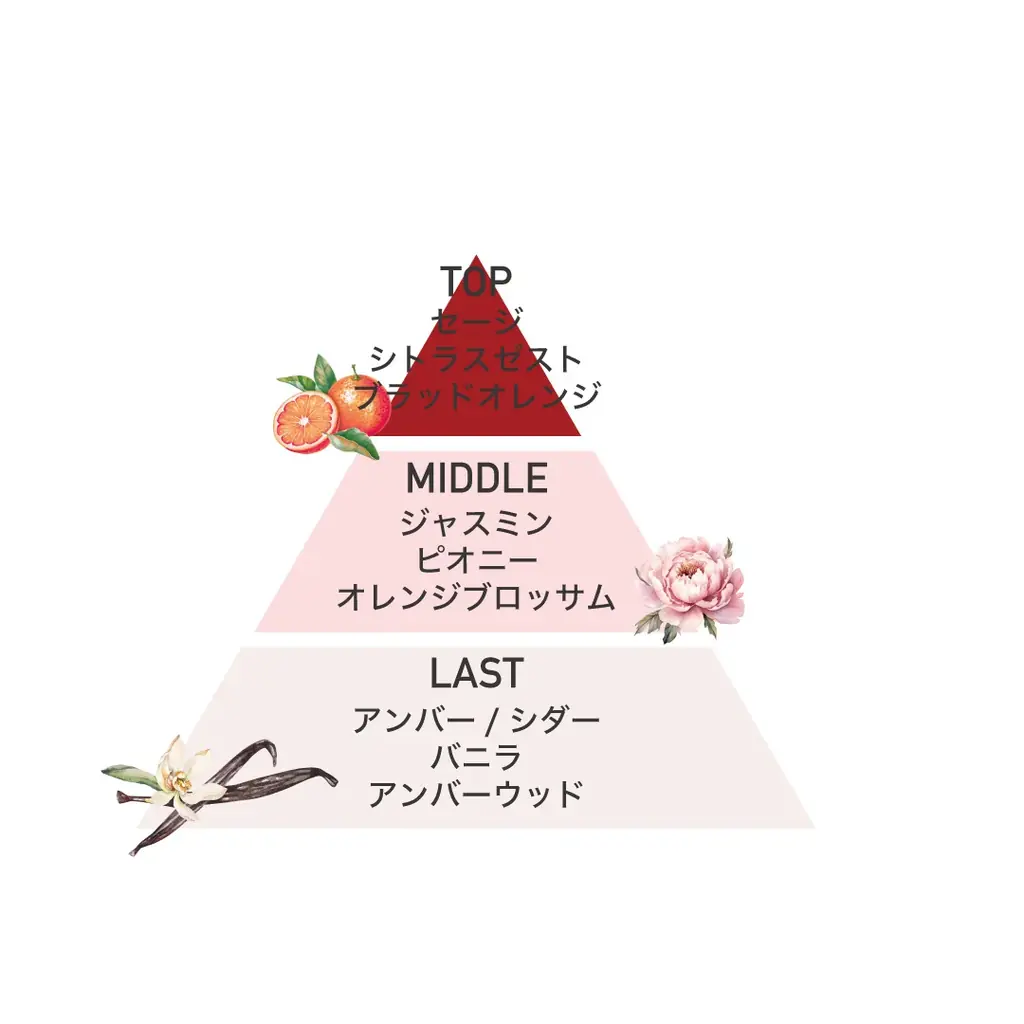 あなたが主役。バレンタインコレクション「Queen of Hearts（クイーン オブ ハート）」を数量限定発売 画像 2