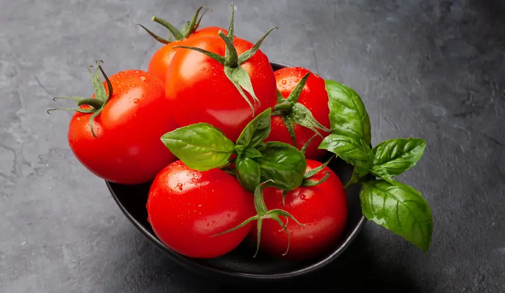 トマトとバジルを使ったお酒に合うチーズケーキ「悪魔の赤チーズケーキ」を販売開始 画像 3