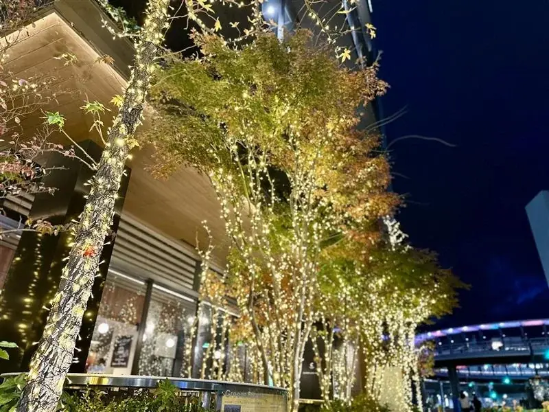 四日市冬のイルミ